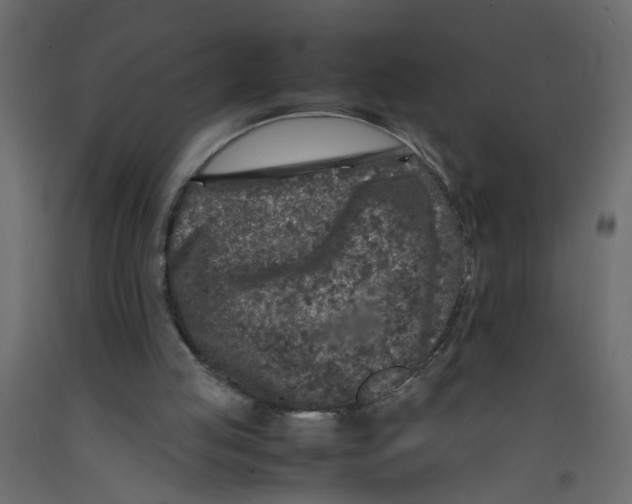 X0000092100053200710101130