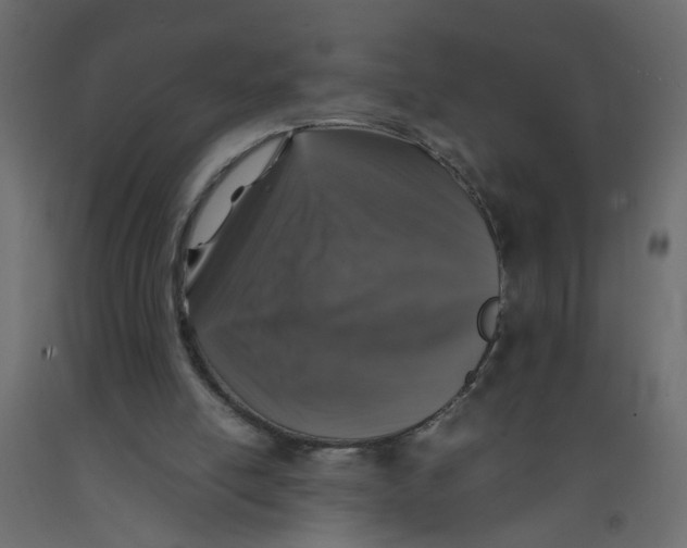 X0000092100054200710101130