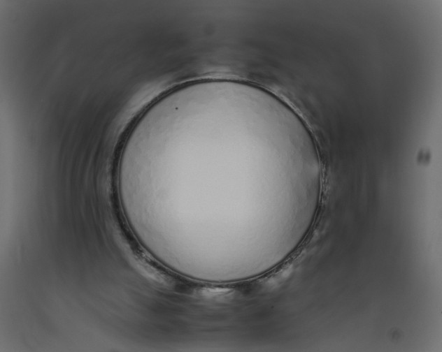 X0000092100055200710101130