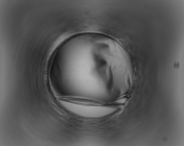 X0000092100056200710101130