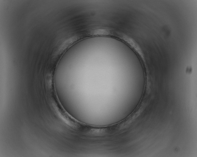 X0000092100057200710101130