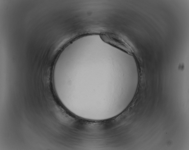 X0000092100058200710101130