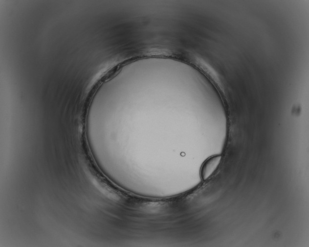 X0000092100059200710101130