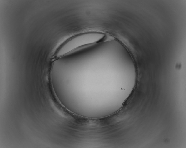 X0000092100060200710101130