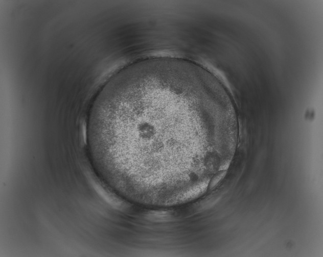 X0000092100061200710101130