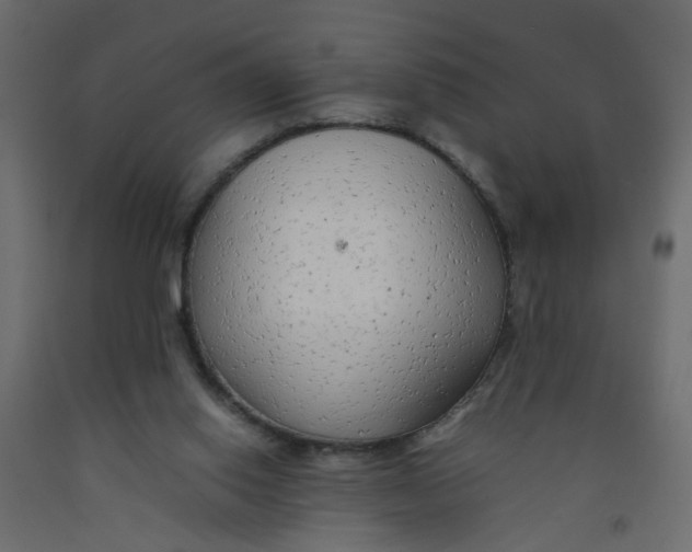 X0000092100062200710101130