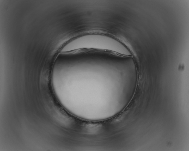 X0000092100063200710101130