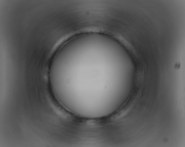 X0000092100064200710101130