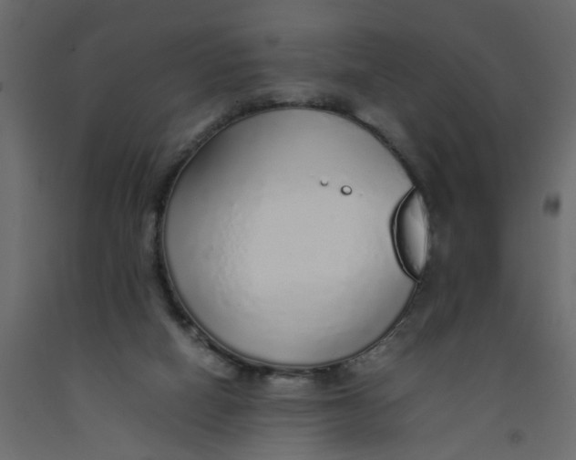 X0000092100066200710101130