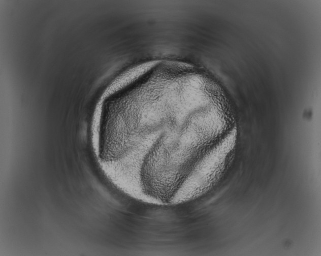 X0000092100067200710101130