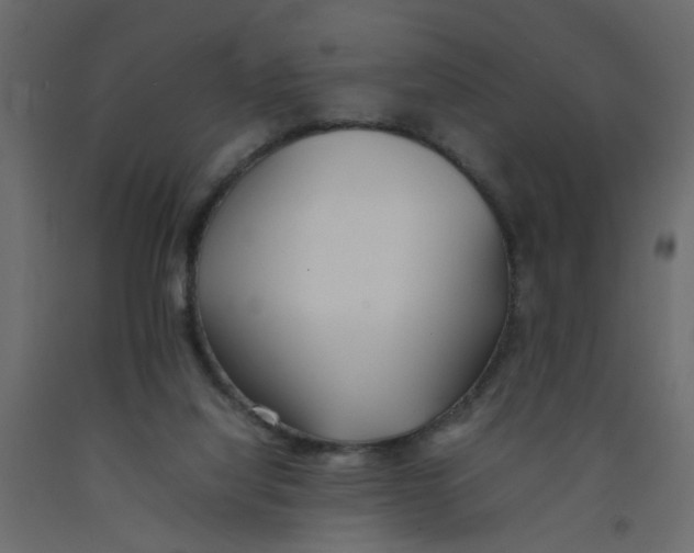 X0000092100068200710101130