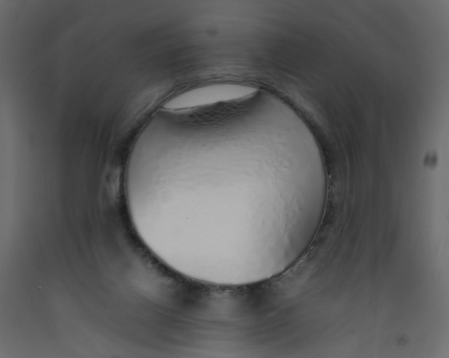 X0000092100070200710101130