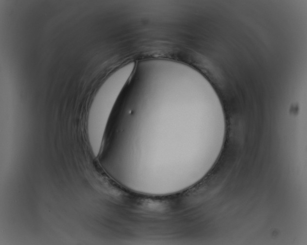 X0000092100073200710101131