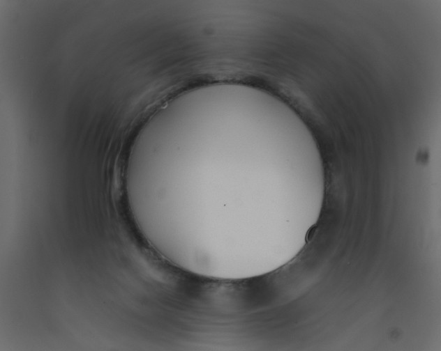 X0000092100074200710101131