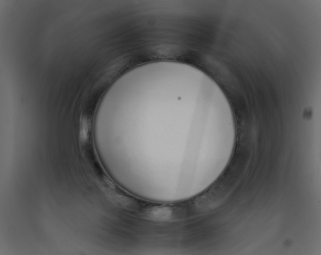 X0000092100075200710101131