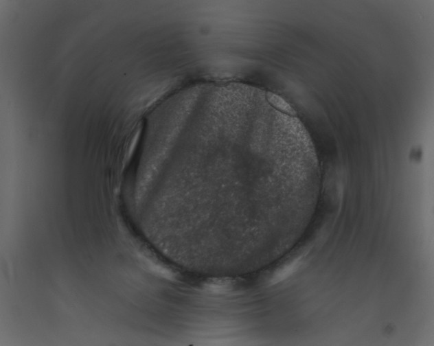 X0000092100076200710101131