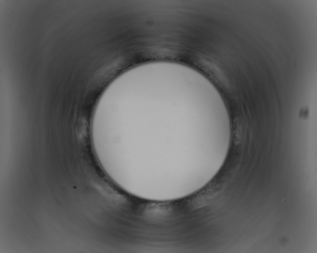 X0000092100077200710101131