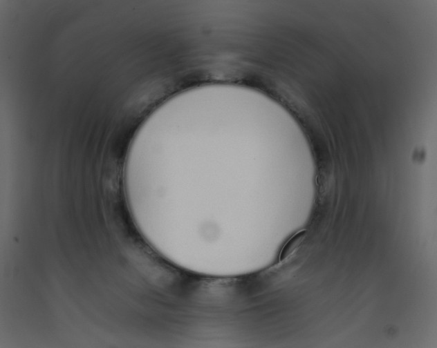 X0000092100078200710101131