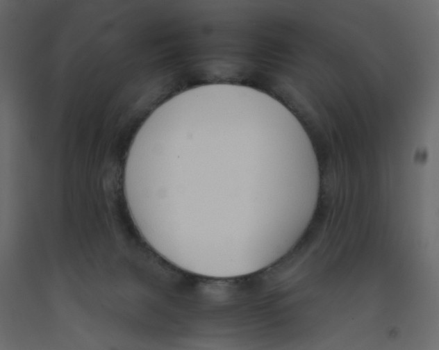 X0000092100079200710101131