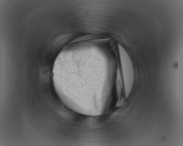 X0000092100080200710101131