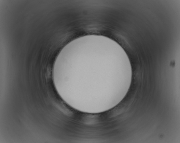 X0000092100081200710101131