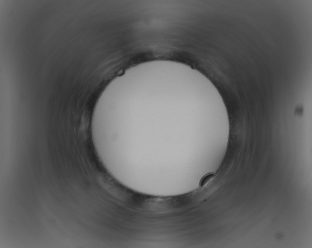 X0000092100082200710101131