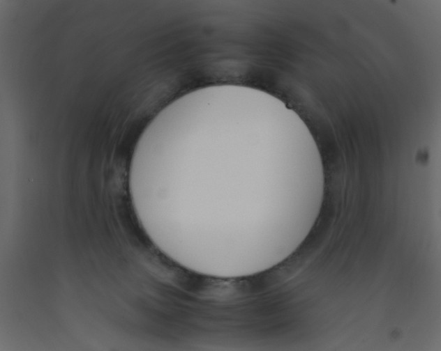 X0000092100083200710101131