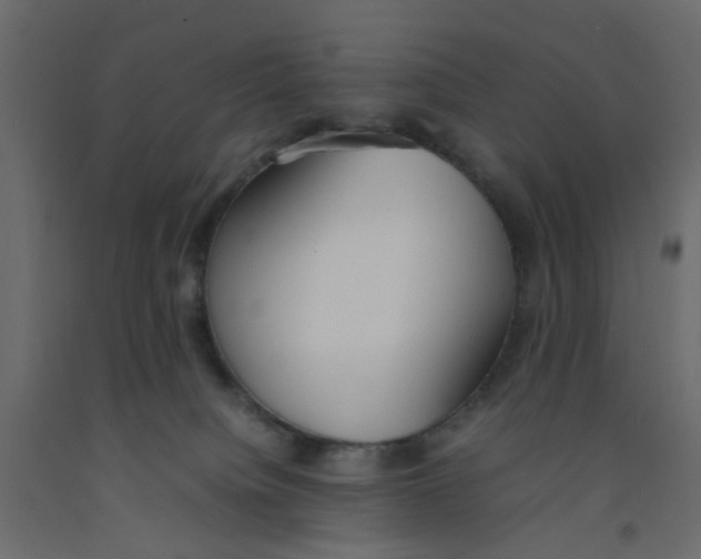 X0000092100084200710101131