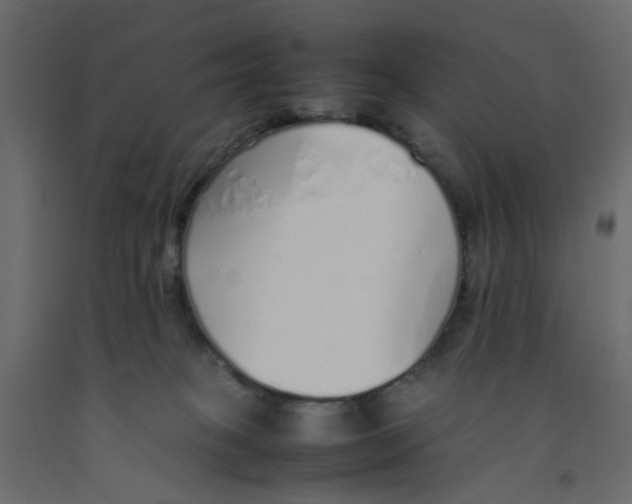 X0000092100085200710101131