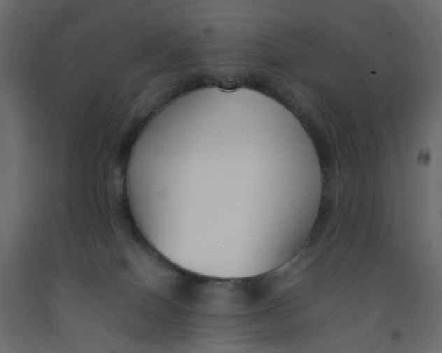 X0000092100086200710101131