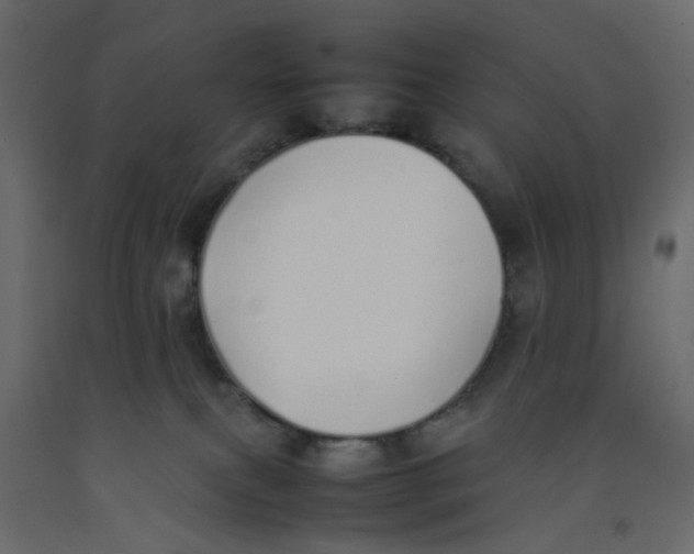 X0000092100087200710101131