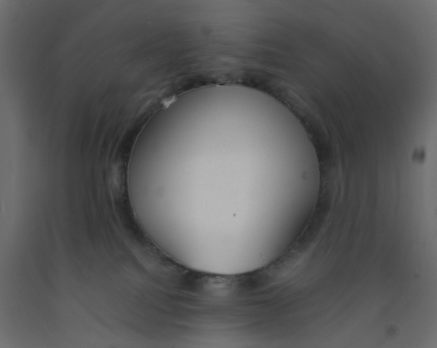 X0000092100088200710101131