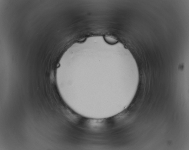 X0000092100089200710101131