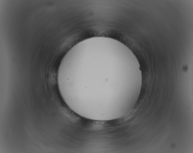 X0000092100090200710101131