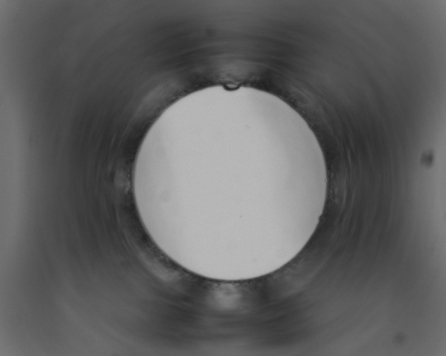 X0000092100091200710101131