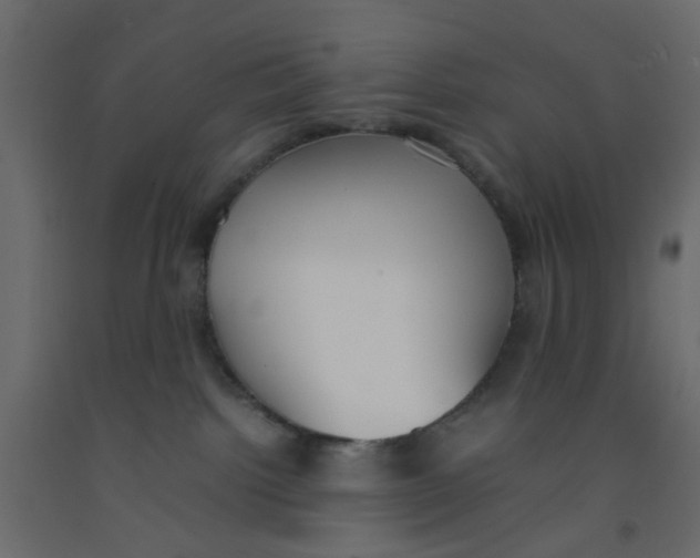 X0000092100092200710101131