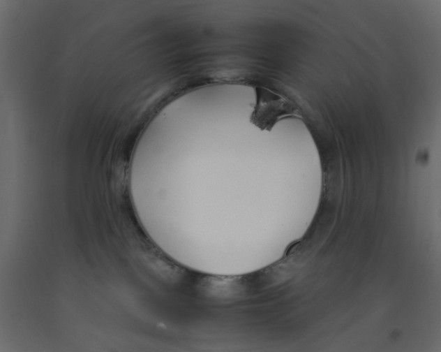 X0000092100093200710101131