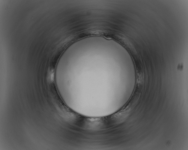 X0000092100095200710101131