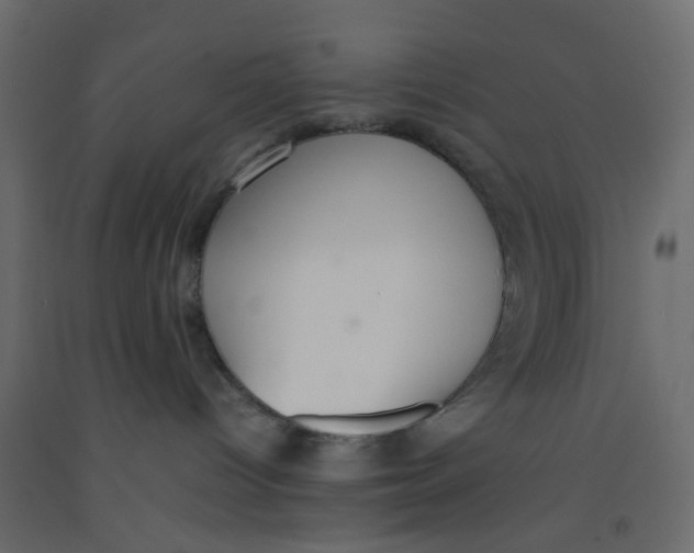 X0000092100096200710101131