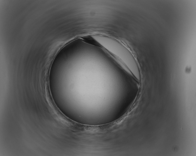 X0000092100097200710101130