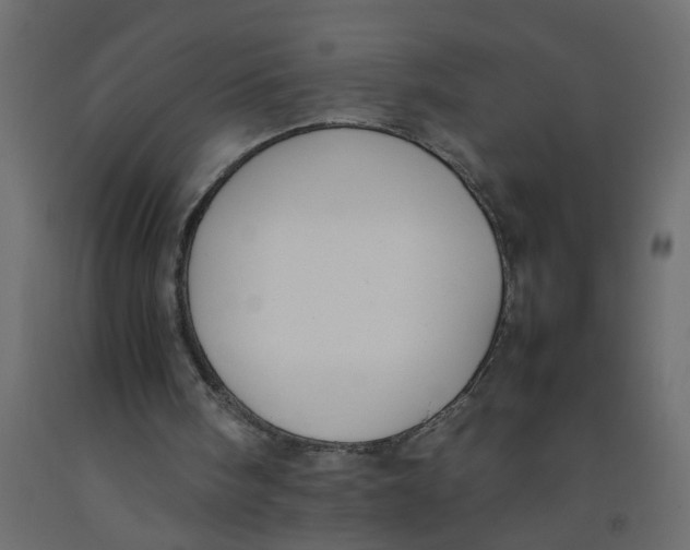 X0000092100098200710101130