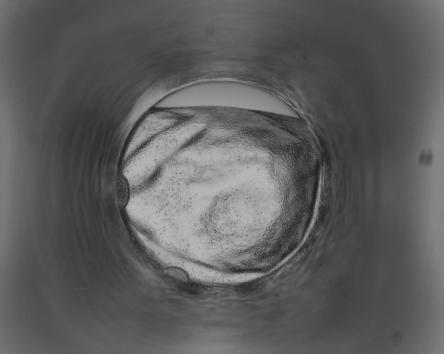 X0000092100099200710101130