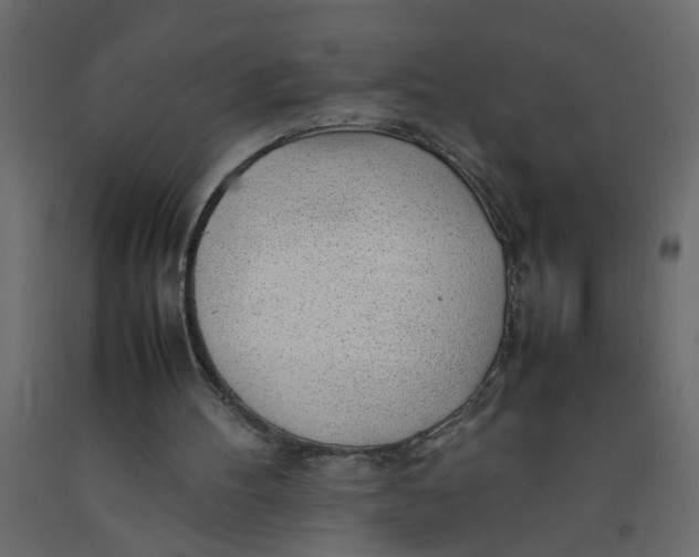 X0000092100100200710101130