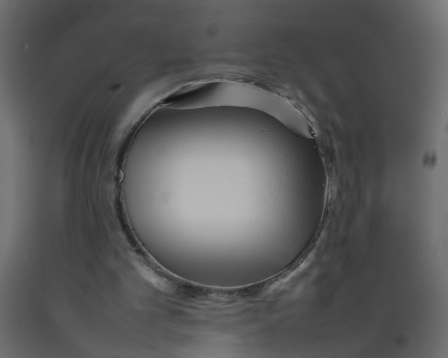 X0000092100101200710101130