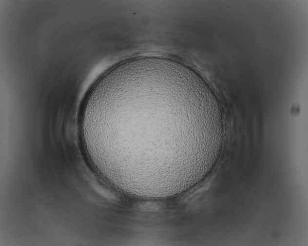 X0000092100102200710101130