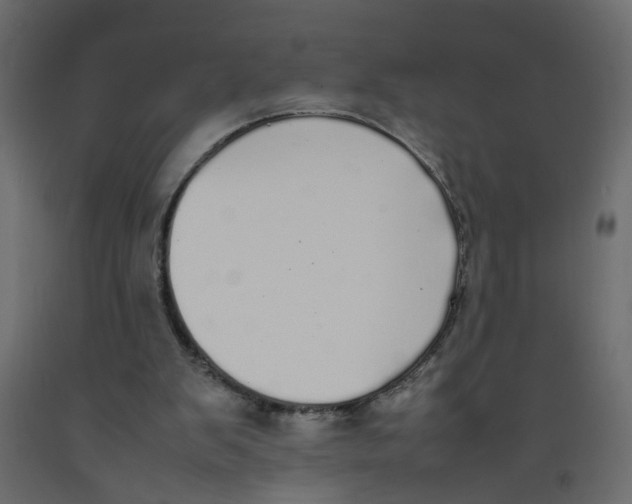 X0000092100103200710101130