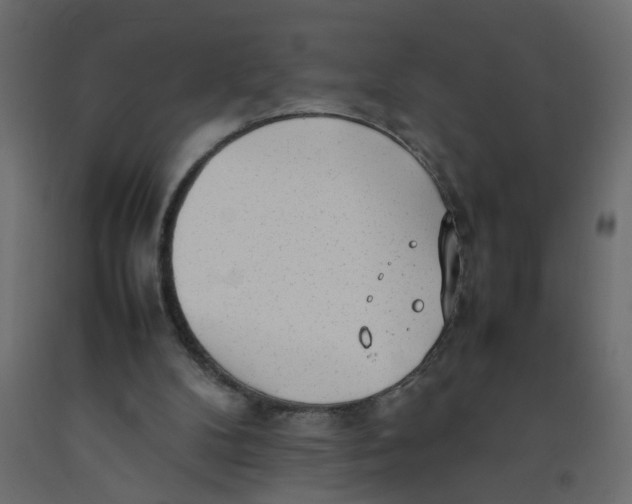 X0000092100104200710101130