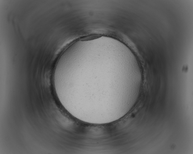 X0000092100106200710101130