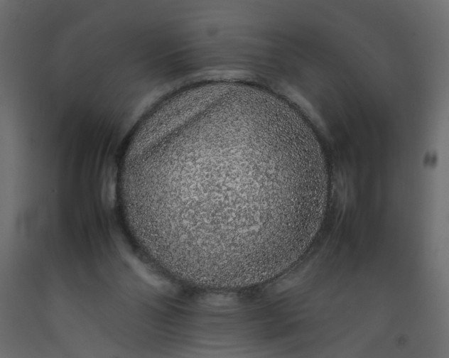 X0000092100110200710101130