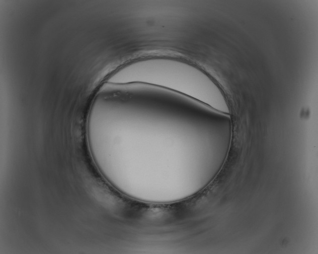 X0000092100111200710101130